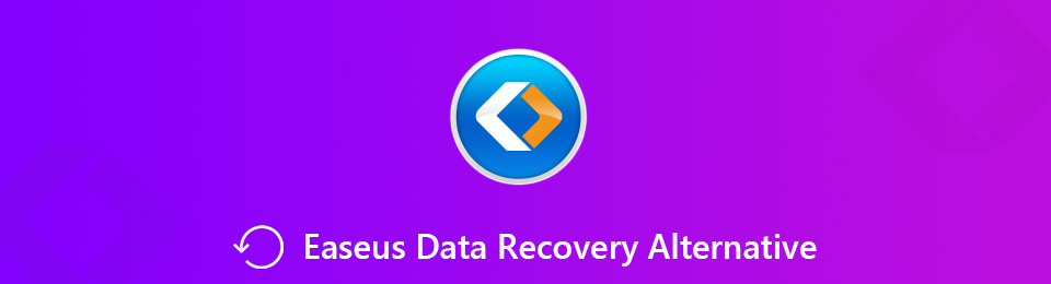 EaseUS Data Recovery Alternative