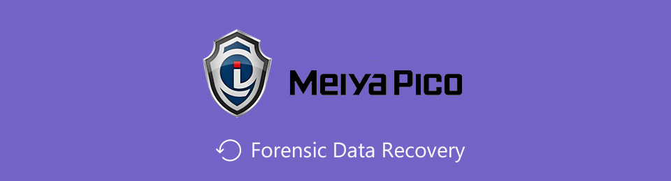 Remarkable Guide to Forensic Data Recovery Alternative