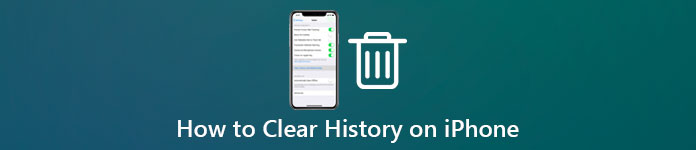 Useful Ways to Clear History on iPhone [2023] - Solved
