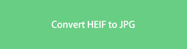 Efficient Guide on How to Convert HEIF to JPG Easily