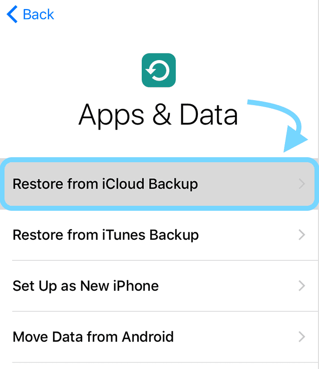 choose Restore from iCloud Backup