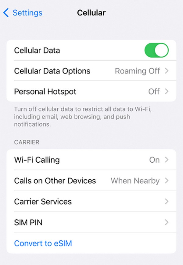 turn off cellular data