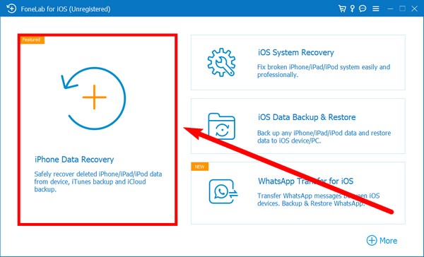 choose the iPhone Data Recovery