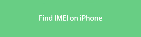 How to Find IMEI on iPhone with An Efficient Guide