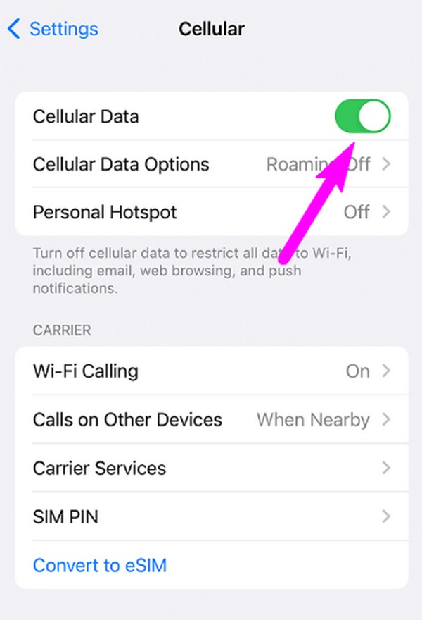 enable cellular data