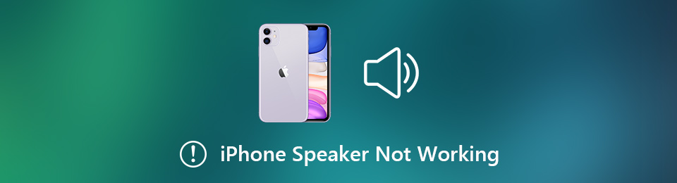 Fix iPhone Speaker Not Working