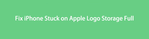 Efficient Way to Fix iPhone Stuck on Apple Logo Storage Full [2023]