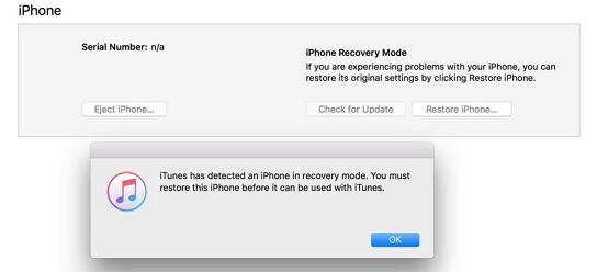 ios device recovery mode on itunes