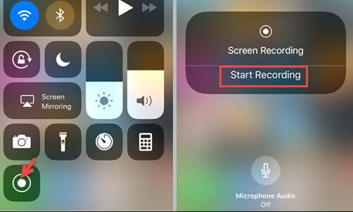 tap screen recording icon on iphone