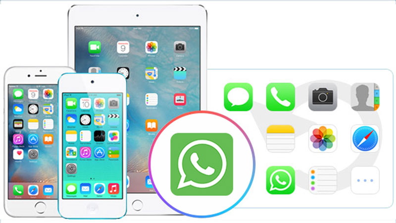 recover iphone whatsapp