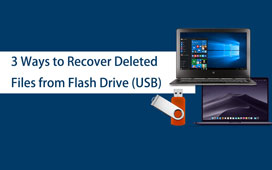 3 Ways to Recover Deleted Files from Flash Drive USB on Windows/Mac