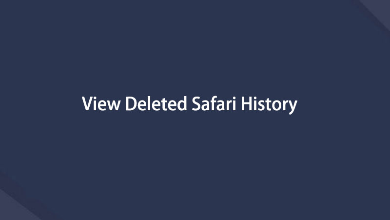 View Deleted Safari History on iPhone