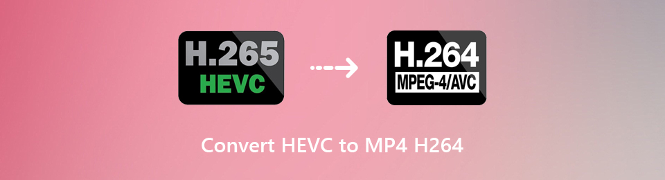 Supreme Methods to Convert HEVC to MP4 Professionally