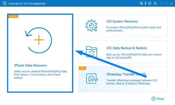which is the iPhone Data Recovery feature