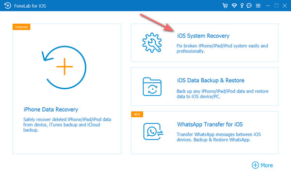 επιλέξτε το iOS System Recovery