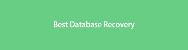 Beste hulpprogramma voor databaseherstel en alternatieve technieken