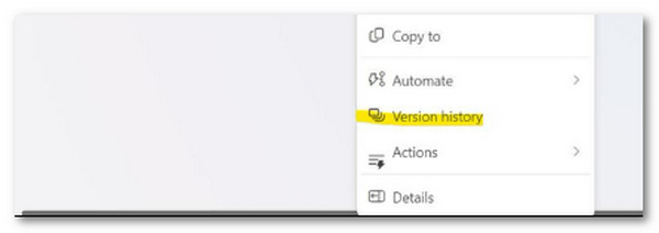 Click Version History Button
