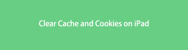 Effacer le cache et les cookies sur iPad dans 6 solutions fiables (2023)