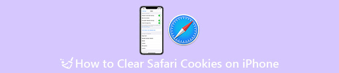 Como limpar cookies no iPhone de três maneiras básicas