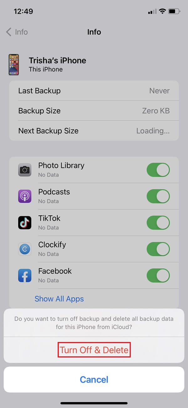 Slet iCloud Backup på iPhone/iPad-indstillinger