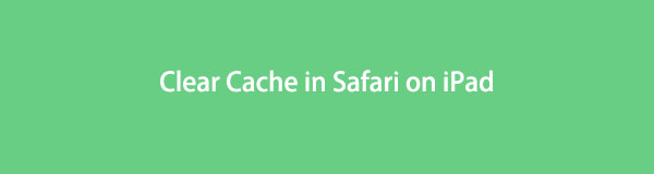 Come cancellare la cache in Safari su iPad con 5 metodi semplici