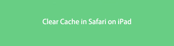 Como limpar o cache no Safari no iPad com 5 métodos sem esforço