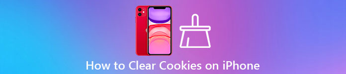 Clear Cookies on iPad Using Comfortable Techniques