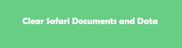 Trustworthy Guide to Clear Safari Documents and Data