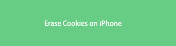 How to Erase Cookies on iPhone with 3 Easy and Effective Ways