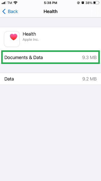 iphone document and data