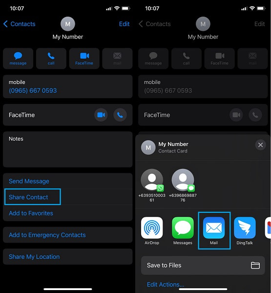 Share Contact and select the Mail option