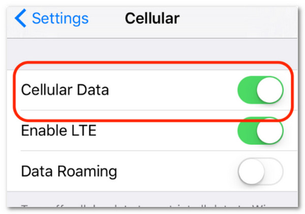 Enable Cellular Data