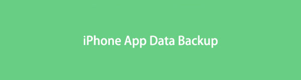 Beste iPhone-app-gegevensback-upoplossingen met uitstekende gids
