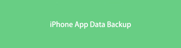 Bästa iPhone App Data Backup-lösningar med utmärkt guide