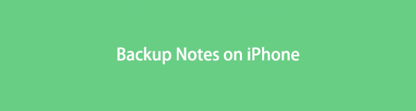 Hoe maak je een back-up van notities op de iPhone in 6 betrouwbare en gemakkelijke methoden