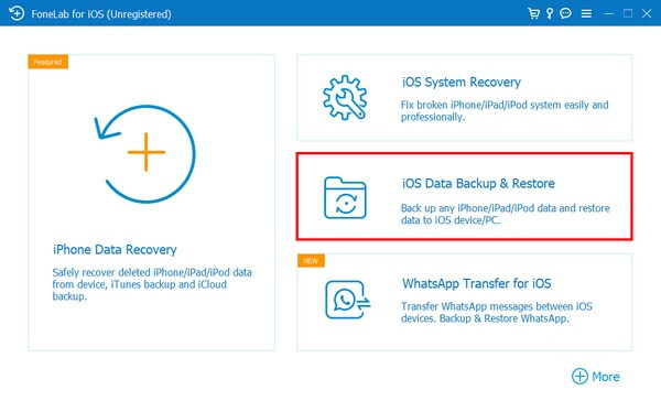 iOS Data Backup and Restore-funksjon