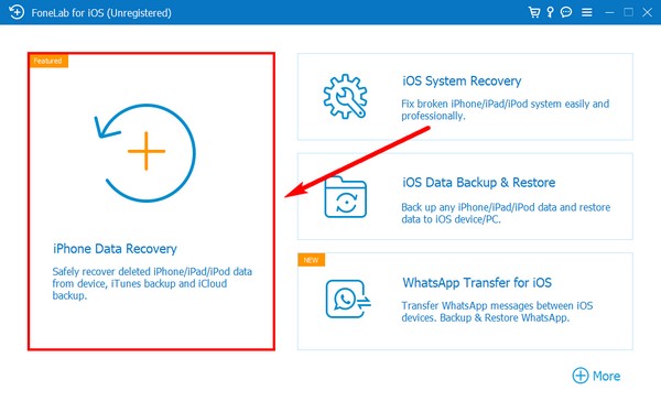 the iPhone Data Recovery feature