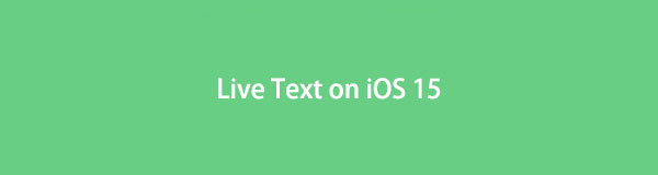 Live Text on iOS 15 - Everything You Should Know About It