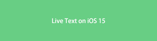 Livetext på iOS 17 – Allt du bör veta om det