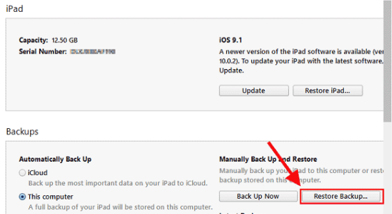 Restore the whole iPad from the backup
