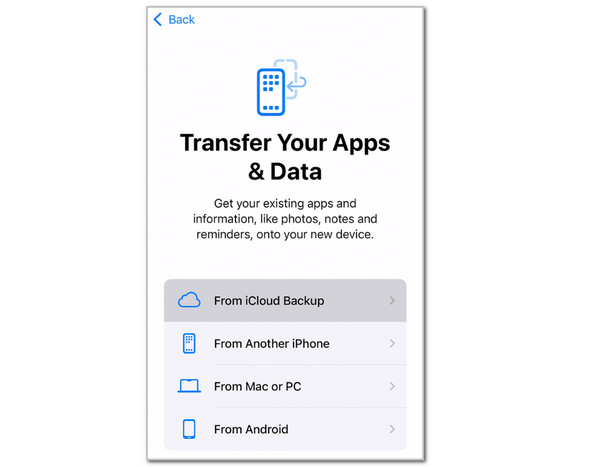 Tap From iCloud Backup Button