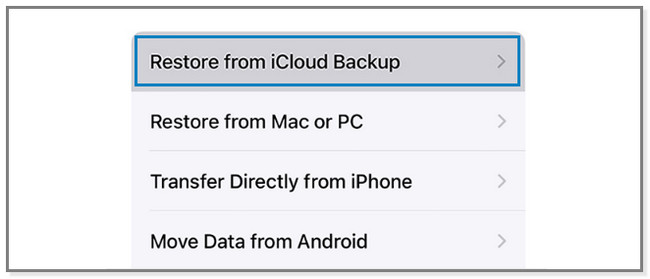 tap the Restore from iCloud Backup button