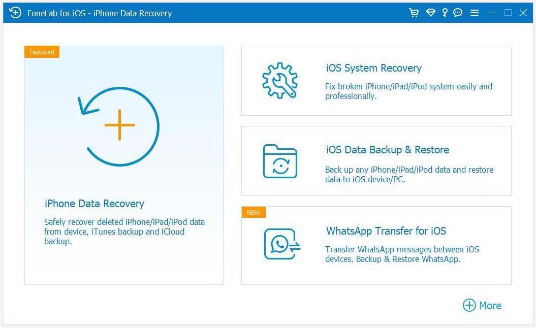 Wählen Sie ios system recovery