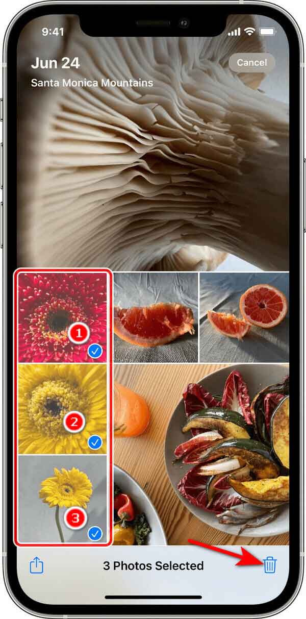 Deleting Multiple Photos