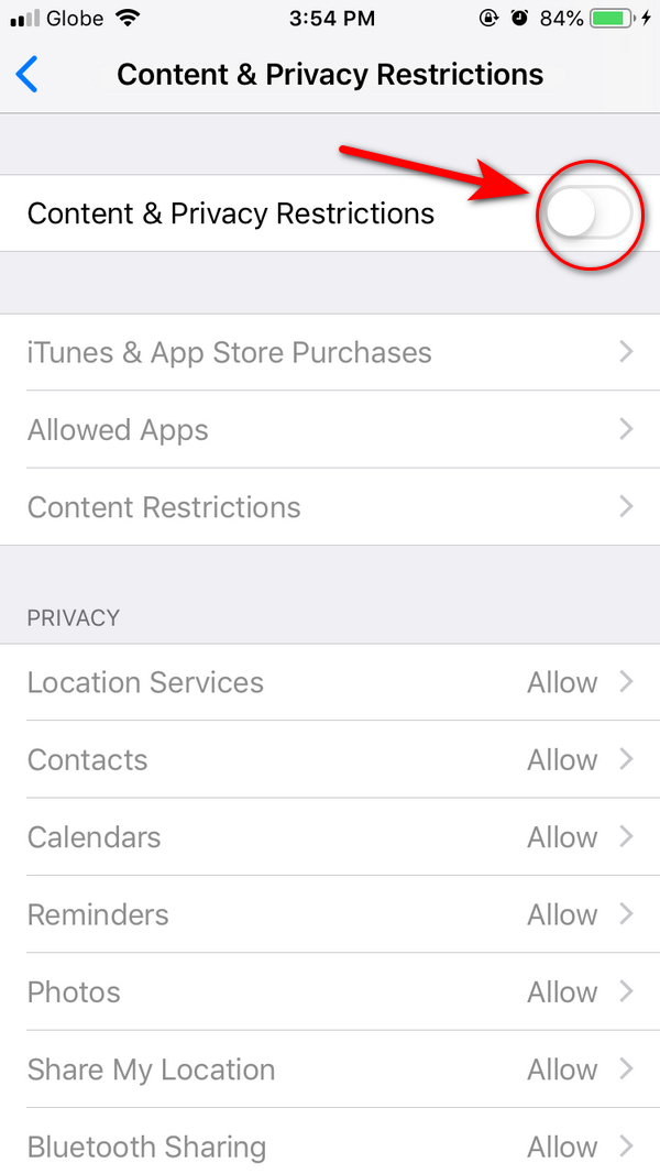 Content & Privacy Restrictions to enable it