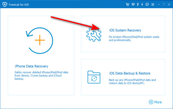 click on the iOS System Recovery