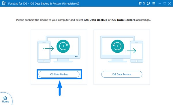 Seleccione la pestaña Copia de seguridad de datos de iOS