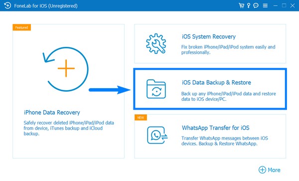 Scegli la casella Backup e ripristino dei dati iOS