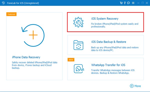 välj rutan iOS System Recovery