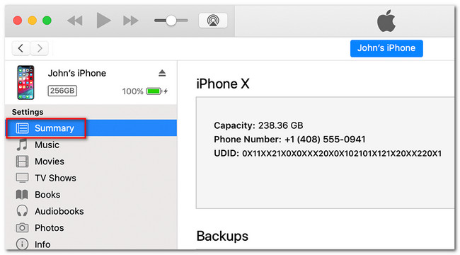 Klicken Sie in iTunes auf die Schaltfläche „Zusammenfassung“.